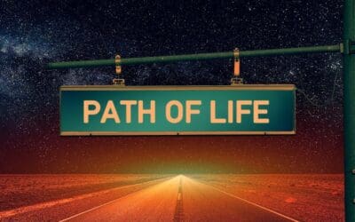 My Interesting Life